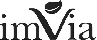 IMVIA logo