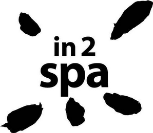 IN 2 SPA logo