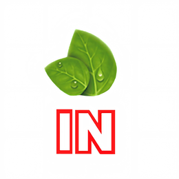 IN logo