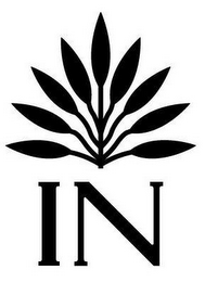 IN logo