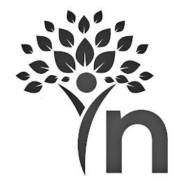IN logo