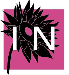 IN logo