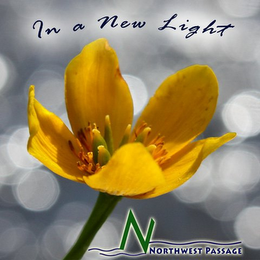 IN A NEW LIGHT N NORTHWEST PASSAGE logo
