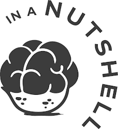 IN A NUTSHELL logo