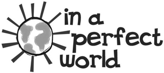 IN A PERFECT WORLD