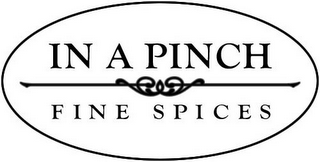 IN A PINCH FINE SPICES logo
