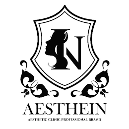 IN AESTHEIN AESTHETIC CLINIC PROFESSIONAL BRAND logo