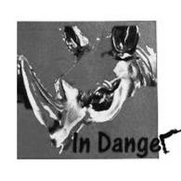 IN DANGER logo