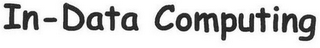 IN-DATA COMPUTING logo