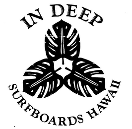 IN DEEP SURFBOARDS HAWAII logo