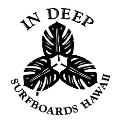 IN DEEP SURFBOARDS HAWAII logo