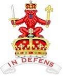 IN DEFENS logo