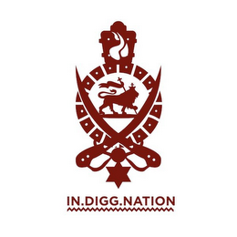 IN-DIGG-NATION. logo
