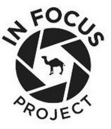 IN FOCUS PROJECT logo