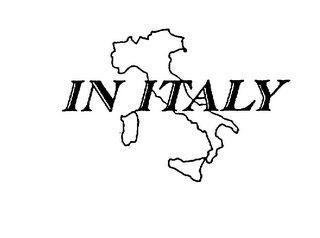 IN ITALY logo