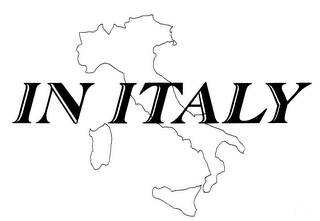 IN ITALY ONLINE logo