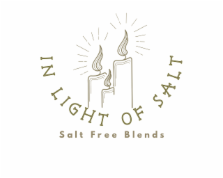 IN LIGHT OF SALT SALT FREE BLENDS logo