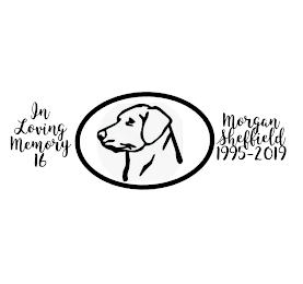 IN LOVING MEMORY 16 MORGAN SHEFFIELD 1995-2019 logo