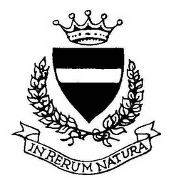 IN RERUM NATURA logo