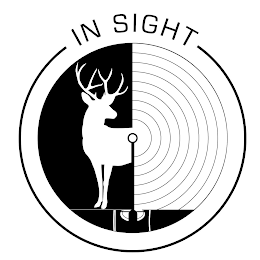 IN SIGHT logo