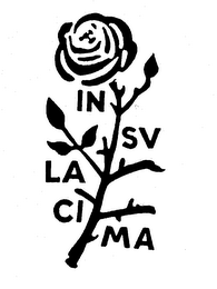 IN SU LA CIMA logo