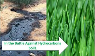 IN THE BATTLE AGAINST HYDROCARBONS SOIL1 logo