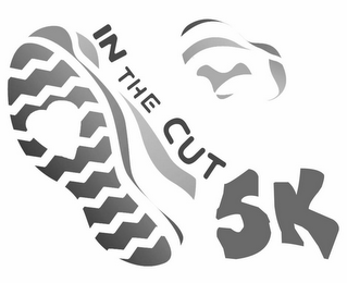IN THE CUT 5K logo