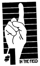 IN THE FIELD logo