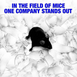 IN THE FIELD OF MICE ONE COMPANY STANDS OUT logo