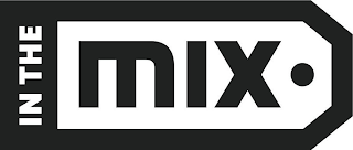 IN THE MIX logo