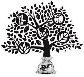 IN THE RAW logo