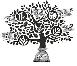 IN THE RAW ORGANIC AGAVE IN THE RAW ORGANIC AGAVE NECTAR SUGAR IN THE RAW TURBINADO CANE SUGAR ORGANIC WHITE SUGAR IN THE RAW ORGANIC CANE SUGAR MONK FRUIT IN THE RAW ZERO CALORIE SWEETENER STEVIA IN THE RAW ZERO CALORIE SWEETENER logo