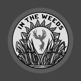 IN THE WEEDS logo