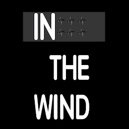 IN THE WIND logo