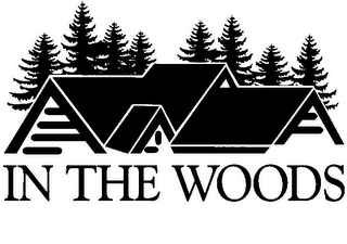 IN THE WOODS logo
