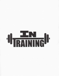 IN TRAINING logo