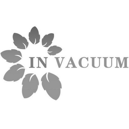 IN VACUUM logo
