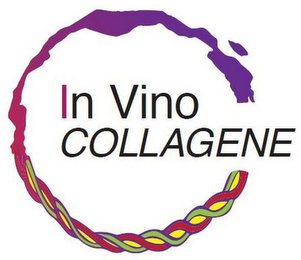 IN VINO COLLAGENE logo