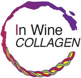 IN WINE COLLAGEN logo