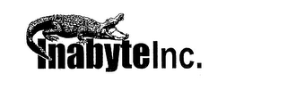 INABYTEINC. logo