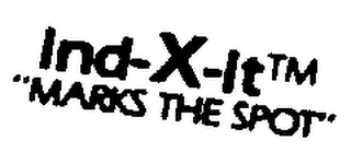IND-X-IT logo