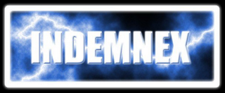 INDEMNEX logo