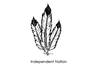 INDEPENDENT NATION logo