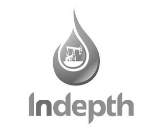 INDEPTH logo