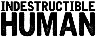 INDESTRUCTIBLE HUMAN logo