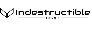INDESTRUCTIBLE SHOES logo