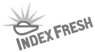 INDEX FRESH logo