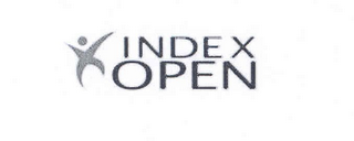 INDEX OPEN logo