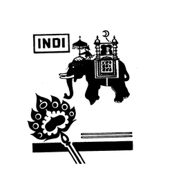 INDI logo