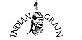 INDIAN GRAIN logo